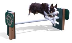 Adjustable Bar Jump